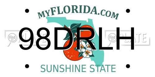 98DRLH Florida License Plate