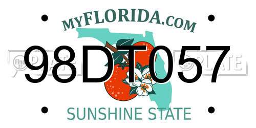98DT057 Florida License Plate