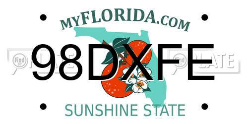 98DXFE Florida License Plate