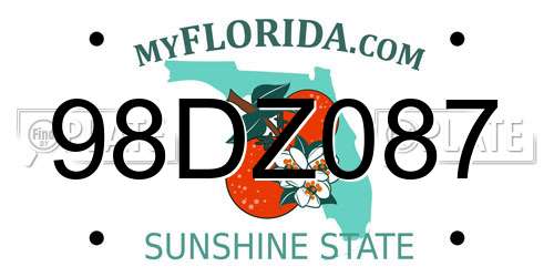 98DZ087 Florida License Plate