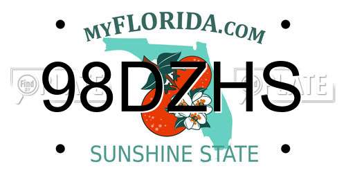 98DZHS Florida License Plate