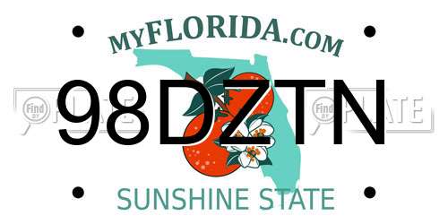 98DZTN Florida License Plate