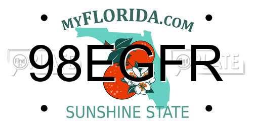 98EGFR Florida License Plate