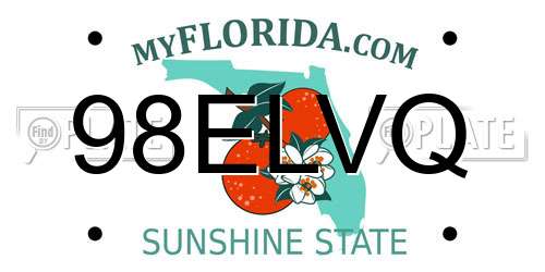 98ELVQ Florida License Plate