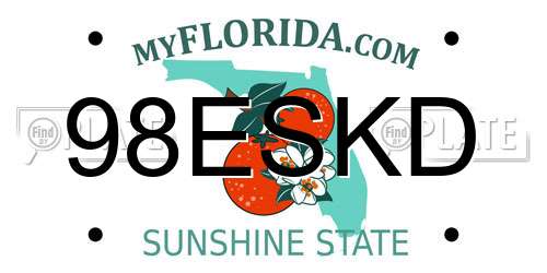 98ESKD Florida License Plate