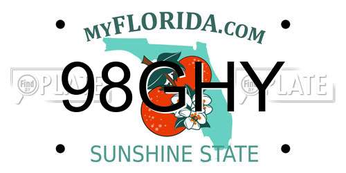 98GHY Florida License Plate