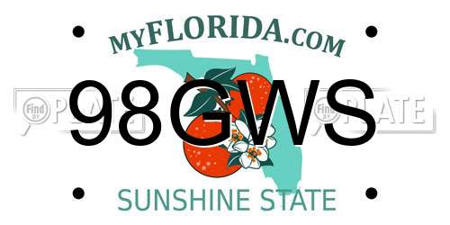 98GWS Florida License Plate