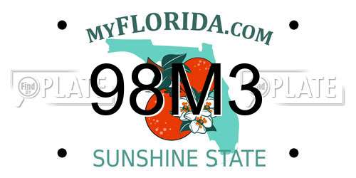 98M3 Florida License Plate