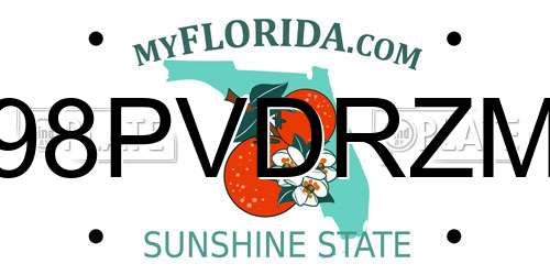 98PVDRZM Florida License Plate