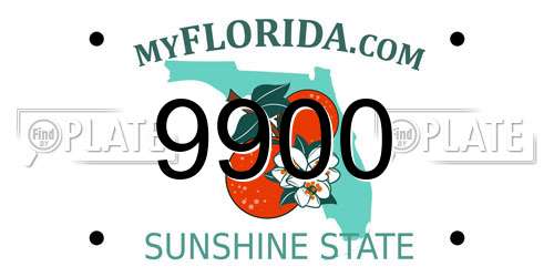 9900 Florida License Plate