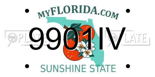 9901IV Florida License Plate