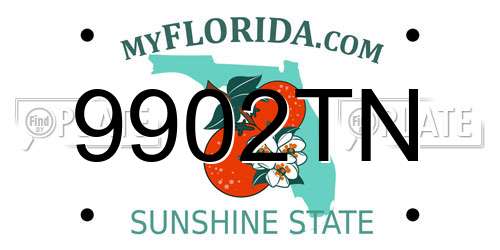 9902TN Florida License Plate