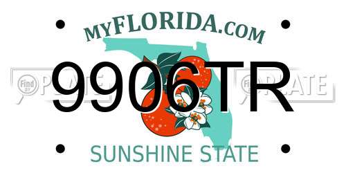 9906TR Florida License Plate