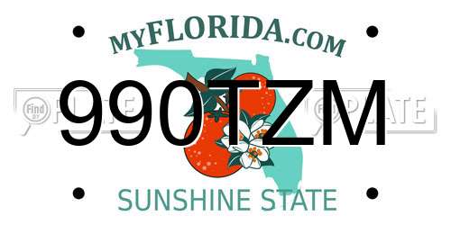 990TZM Florida License Plate