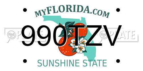 990TZV Florida License Plate