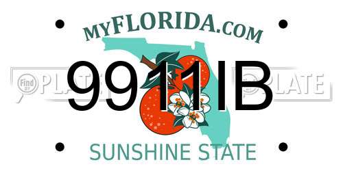 9911IB Florida License Plate