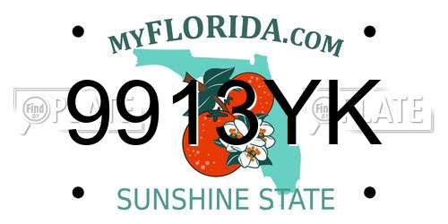 9913YK Florida License Plate