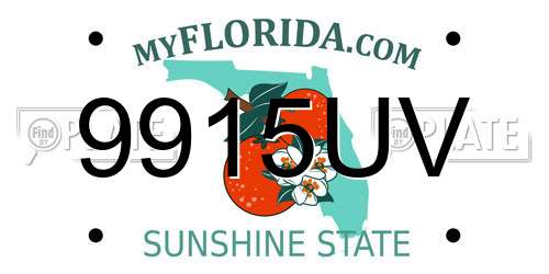 9915UV Florida License Plate