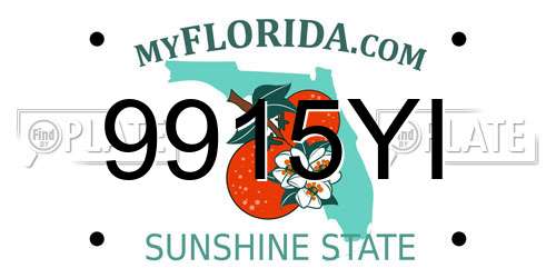 9915YI Florida License Plate