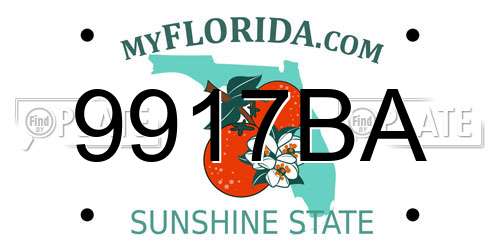 9917BA Florida License Plate