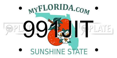 991JIT Florida License Plate