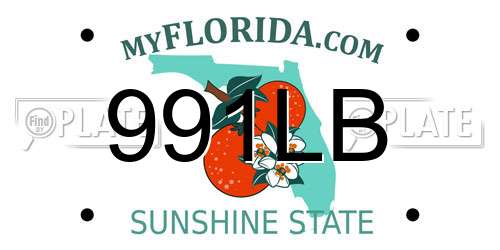 991LB Florida License Plate