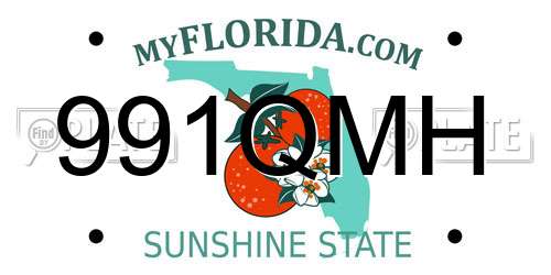 991QMH Florida License Plate
