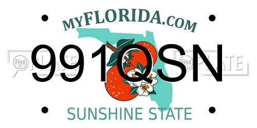 991QSN Florida License Plate