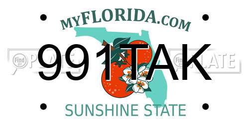 991TAK Florida License Plate