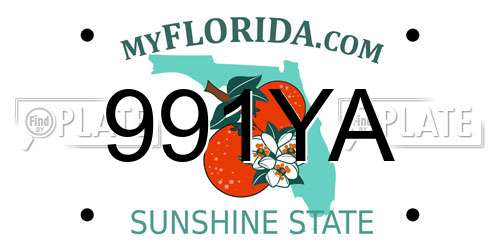 991YA Florida License Plate