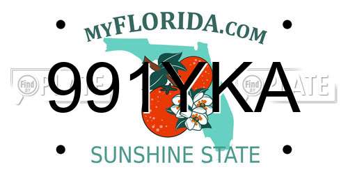 991YKA Florida License Plate