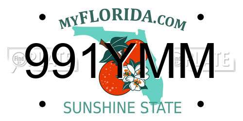 991YMM Florida License Plate