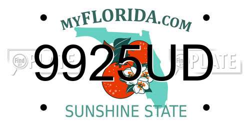 9925UD Florida License Plate