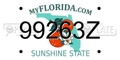 99263Z Florida License Plate