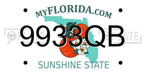 9933QB Florida License Plate