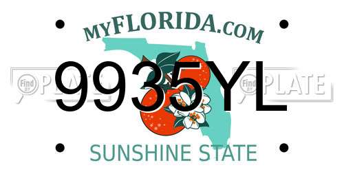 9935YL Florida License Plate
