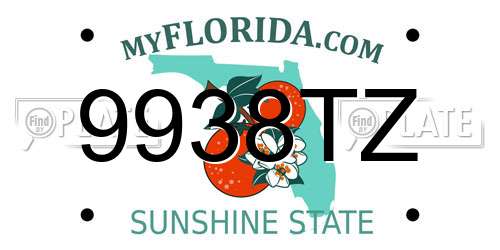 9938TZ Florida License Plate