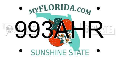 993AHR Florida License Plate