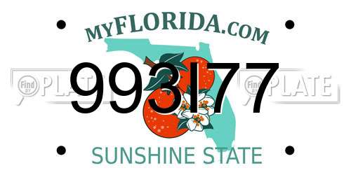 993I77 Florida License Plate
