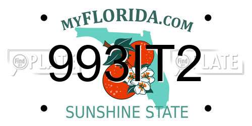 993IT2 Florida License Plate