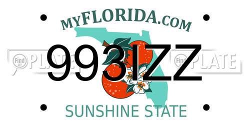 993IZZ Florida License Plate