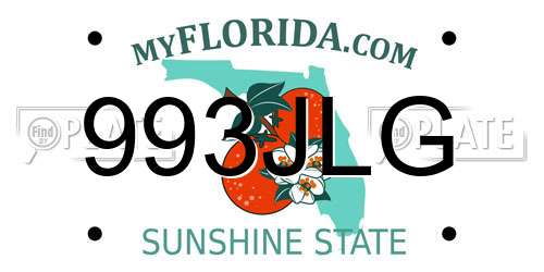 993JLG Florida License Plate