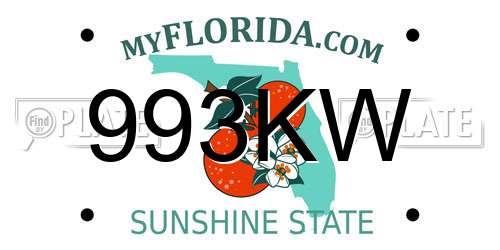 993KW Florida License Plate