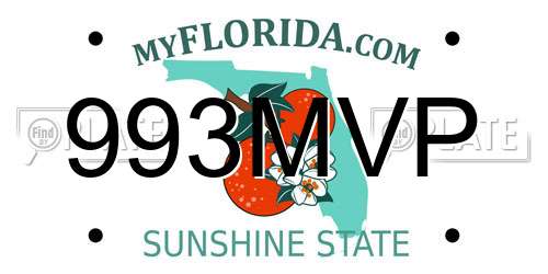 993MVP Florida License Plate