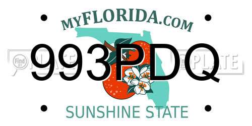 993PDQ Florida License Plate