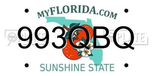 993QBQ Florida License Plate