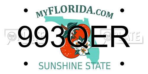 993QER Florida License Plate