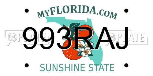 993RAJ Florida License Plate