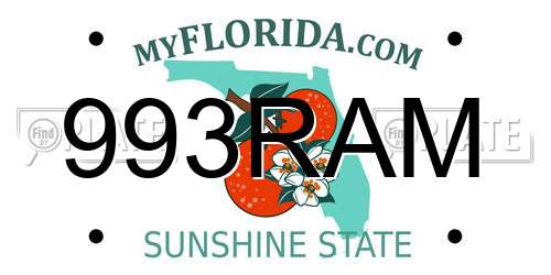 993RAM Florida License Plate