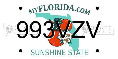 993VZV Florida License Plate